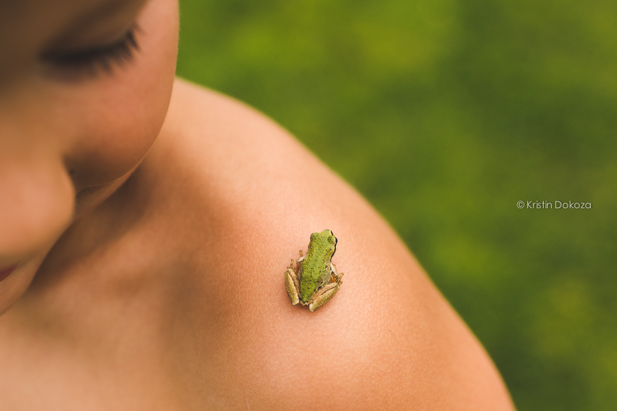 tiny frog-0446